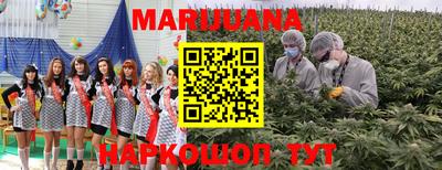 крисы Железногорск