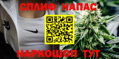 индика Железноводск
