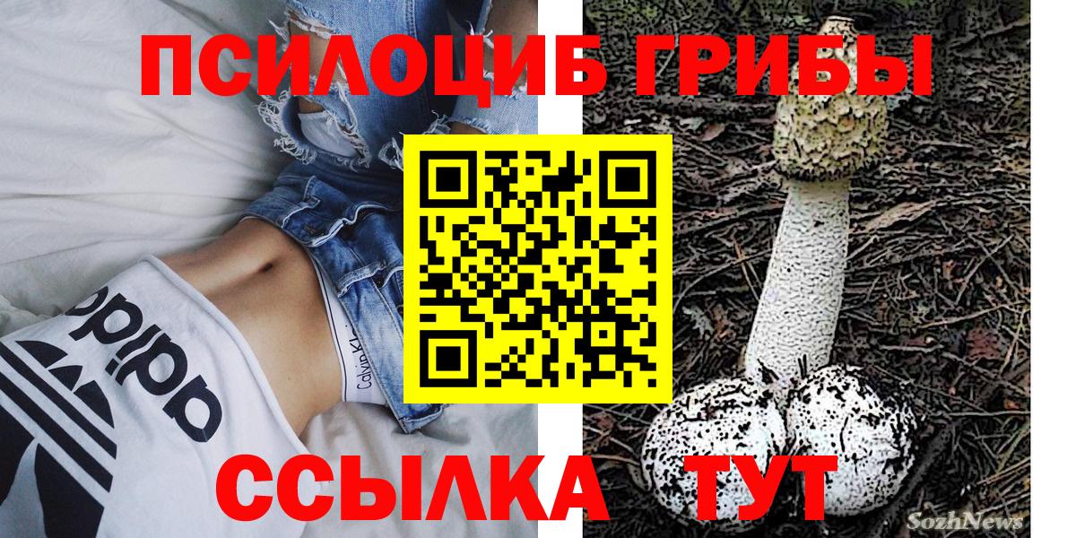Псилоцибиновые грибы мухоморы Евпатория